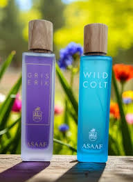 Wild Colt + Gris Erik 1